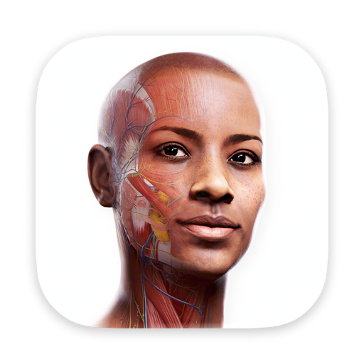 Complete Anatomy for Mac v12.6.0 3D人体解剖图谱 中文激活版下载